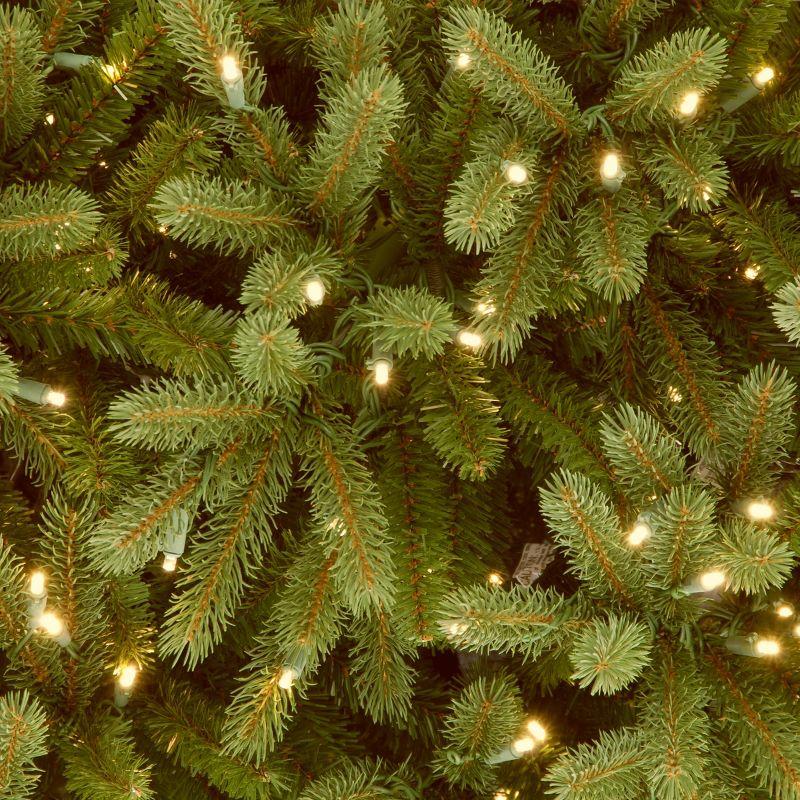 Prelit Jersey Fraser Fir Artificial Christmas Tree Dual Color Lights - National Tree Company