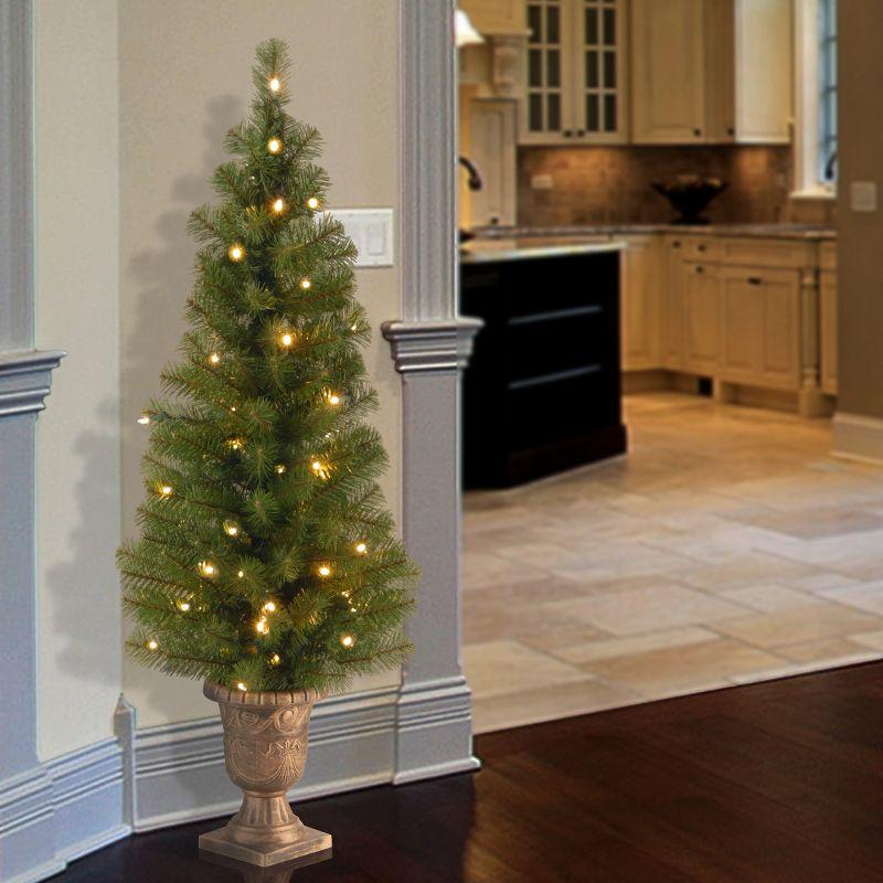 4' Green Prelit Montclair Spruce Artificial Christmas Tree with Urn Base