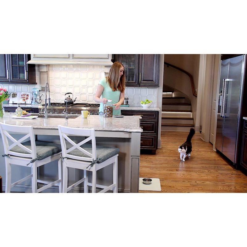 PetSafe® Healthy Pet Simply Feed