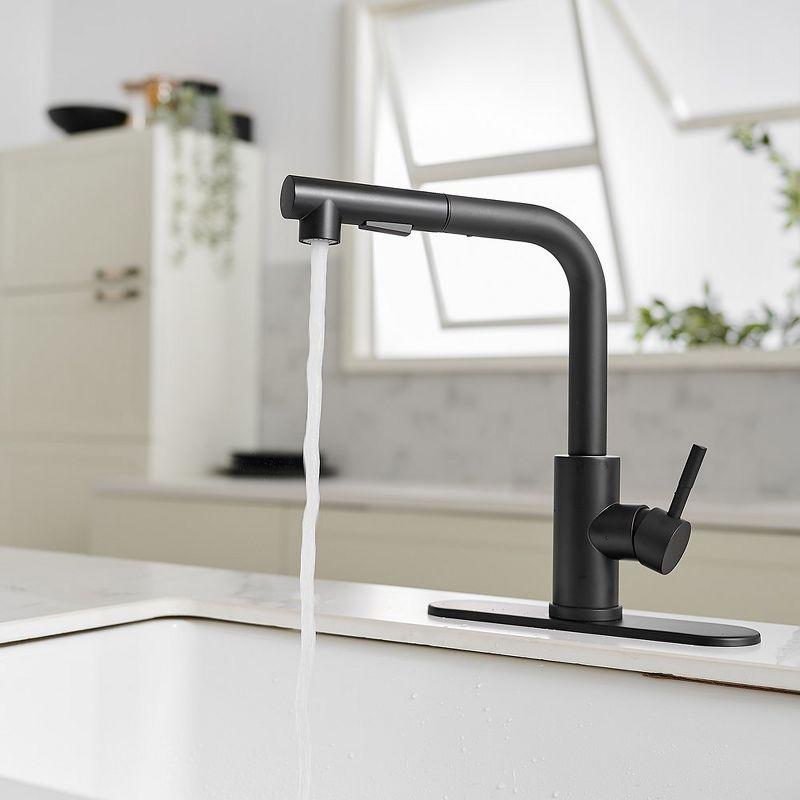 VIBRANTBATH Pull Out Kitchen Faucet