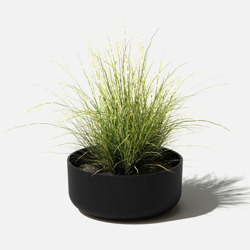 Mason Series Kona Bowl Planter