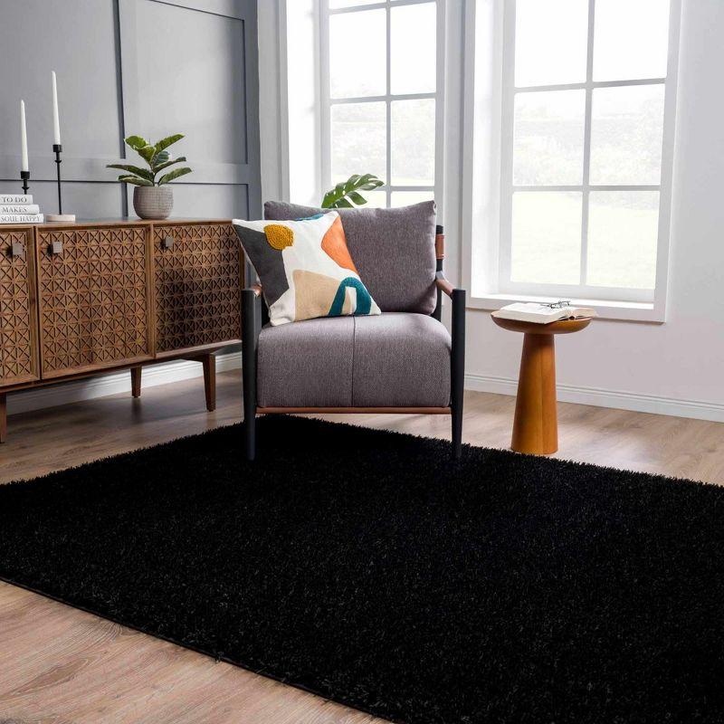 Hauteloom Black Plush Shag Washable 4' x 5'7" Rug