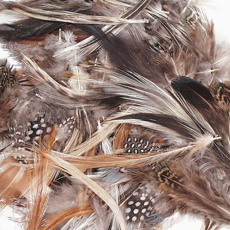 Creativity Street® Natural Feathers, Natural Assorted Colors, Assorted Sizes, 1/2 oz.