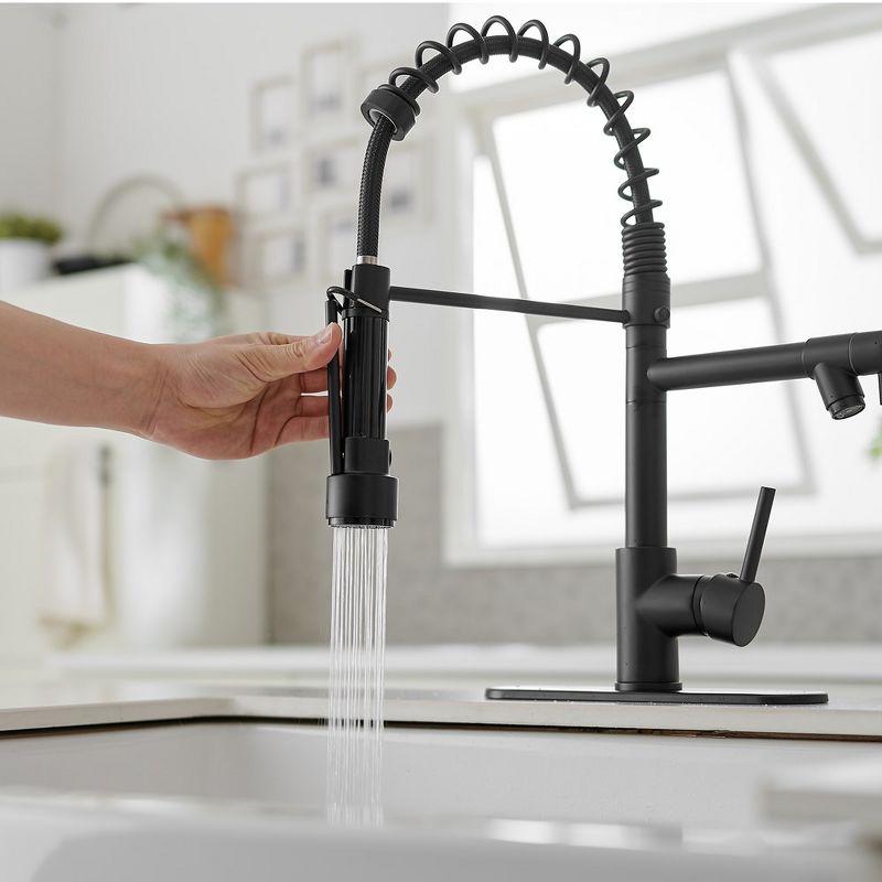 Pull Down Single Handle Kitchen Faucet with Accessories