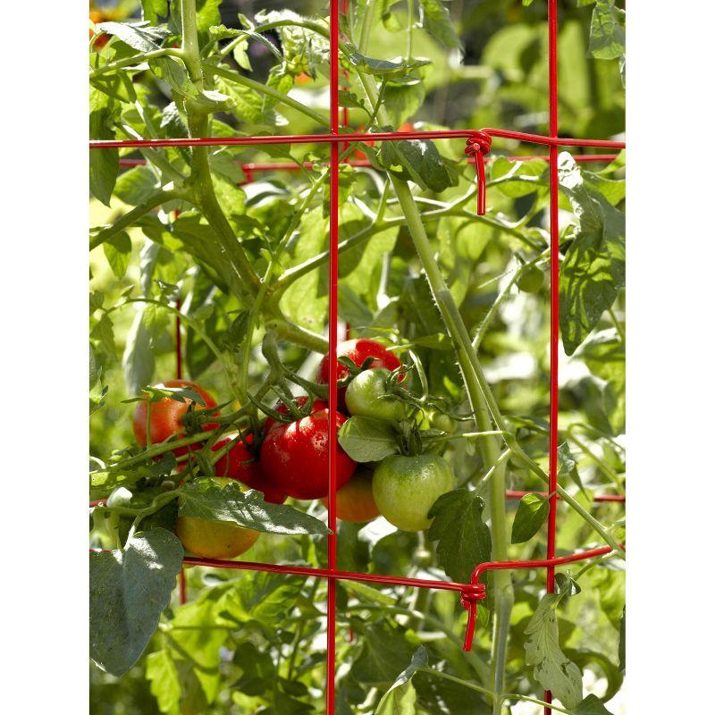 Gardener's Supply Company Lifetime Tomato Cage Plant Stand | 32" High Sturdy Steel Garden Plants Support for Tomatoes and Other Climbing Plants | No
