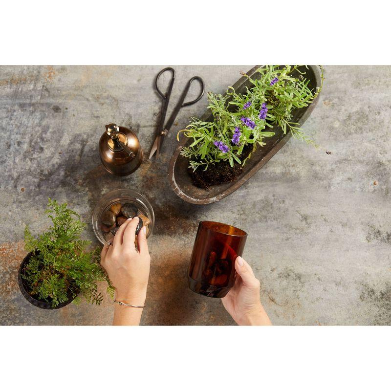 WoodWick ReNew Recycled Glass Black Currant and Rose  Candle 13oz