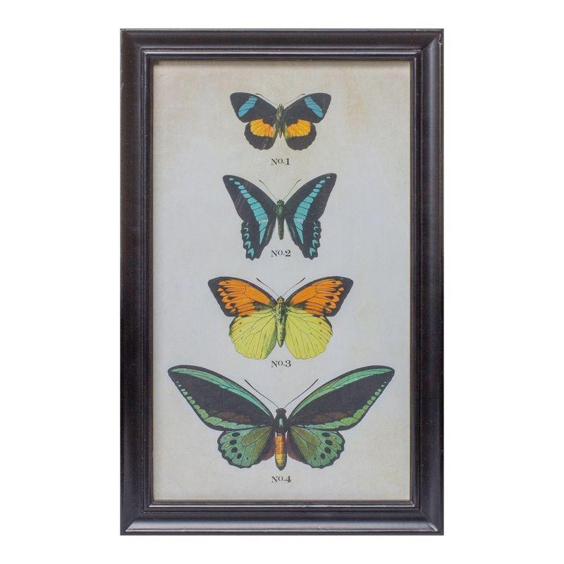 Framed Encyclopedia Butterfly Print Under Glass (Set of 2)