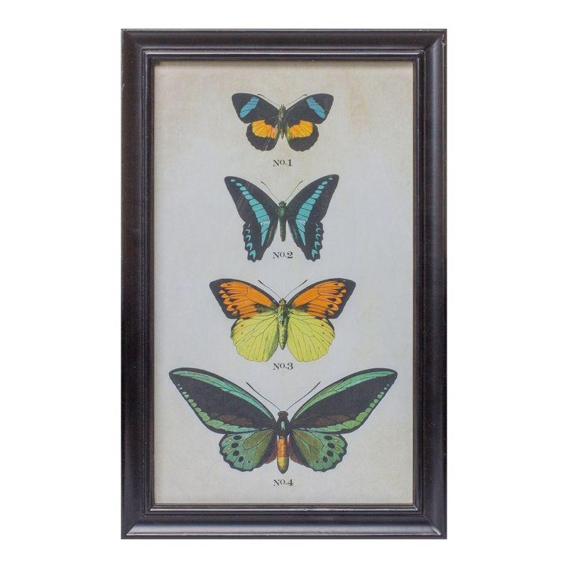 Set of 2 Encyclopedia Butterfly Prints with Black Metal Frames