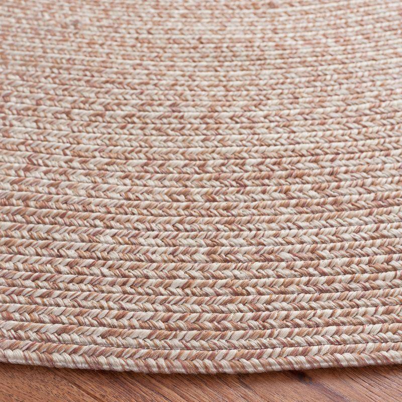 Braided BRA201 Hand Woven Area Rug  - Safavieh