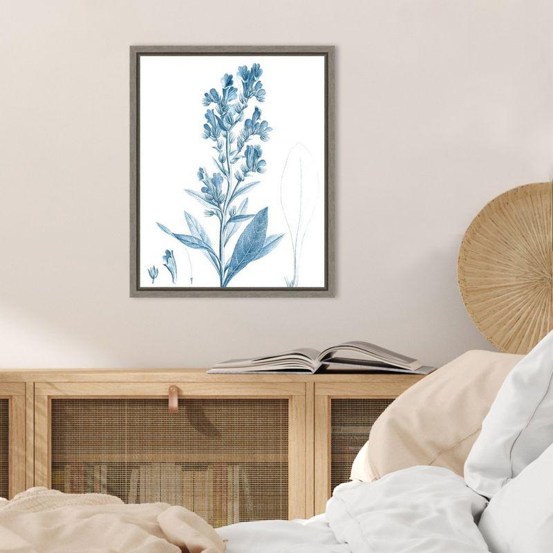 Amanti Art Antique Botanical in Blue III by Vision Studio Canvas Wall Art Print Framed 16 x 20-in.