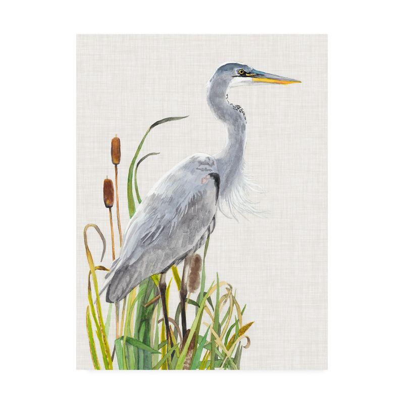 Trademark Fine Art -Naomi Mccavitt 'Water Birds And Cattails I' Canvas Art