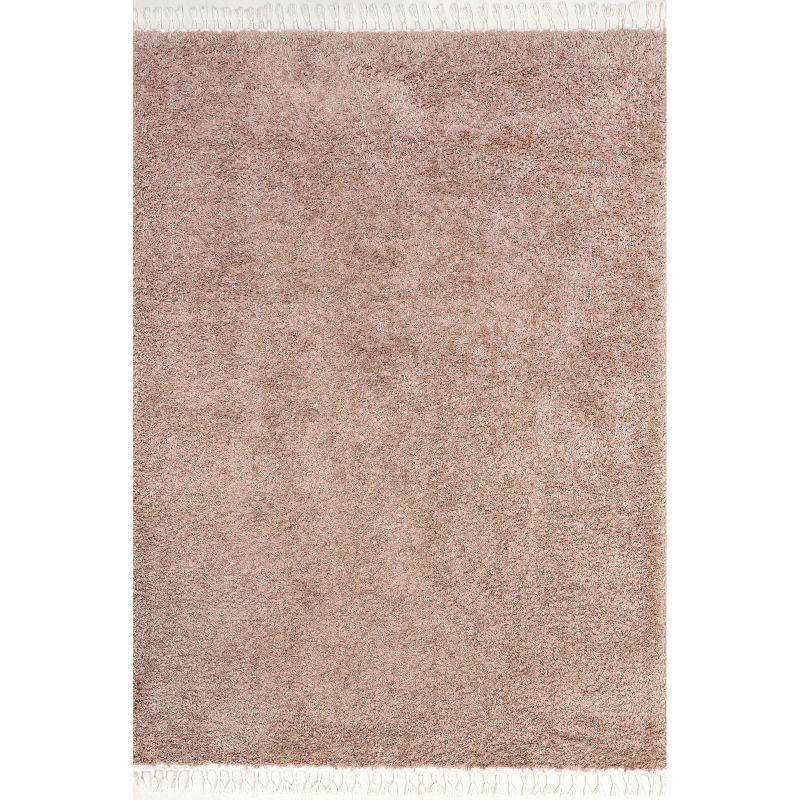 Luxe Braided Tassel Pink Shag Rug 2' x 3'