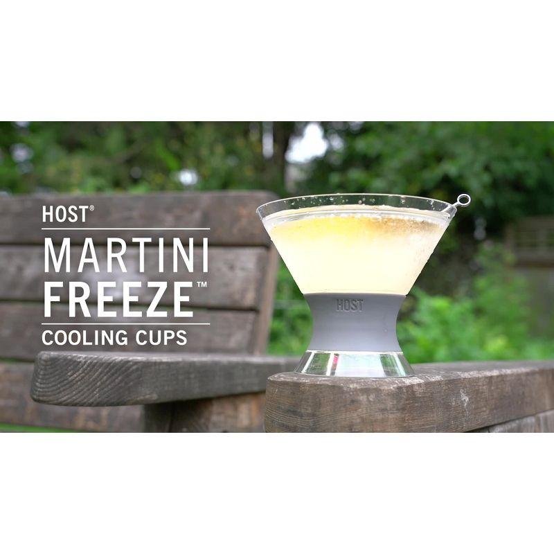 Glass Martini FREEZE Cooling Cup (Set of 2)