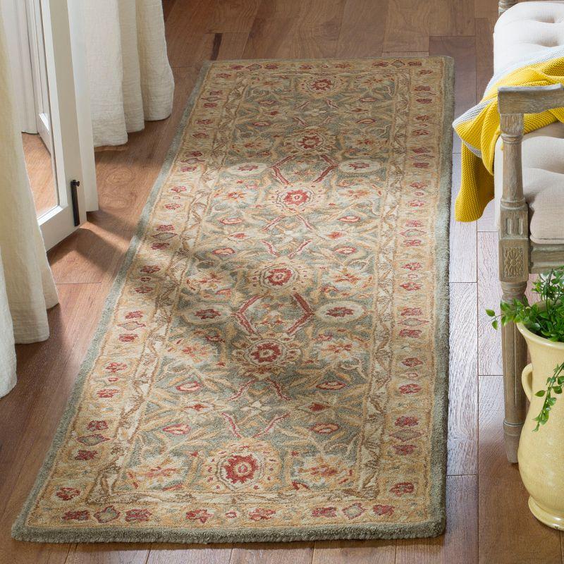 Anatolia AN516 Hand Tufted Traditional Area Rug  - Safavieh