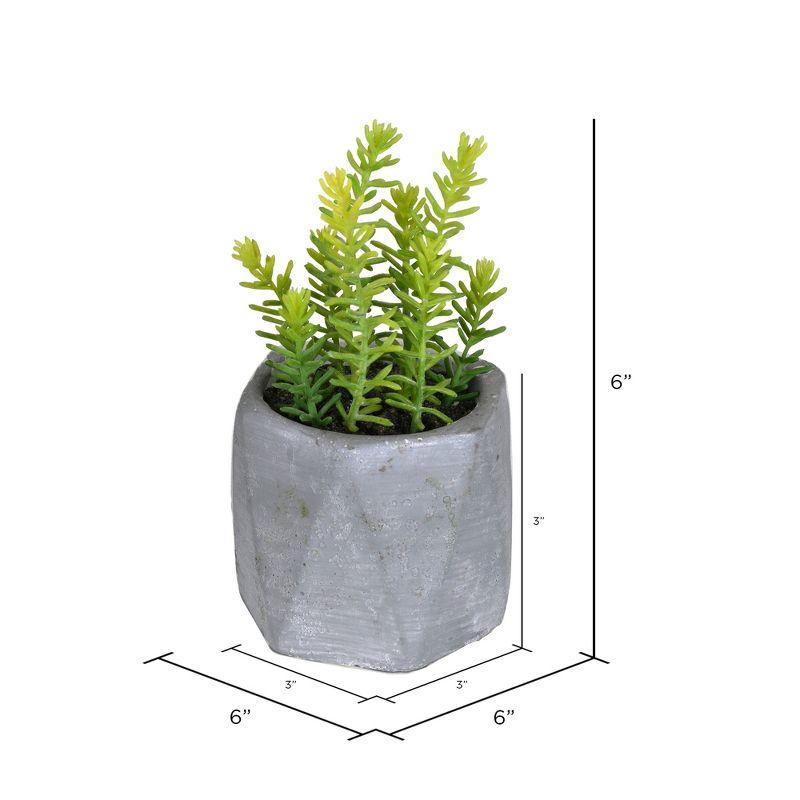 Vickerman 6" Artificial Potted Succulent Arrangements, Set of 3.