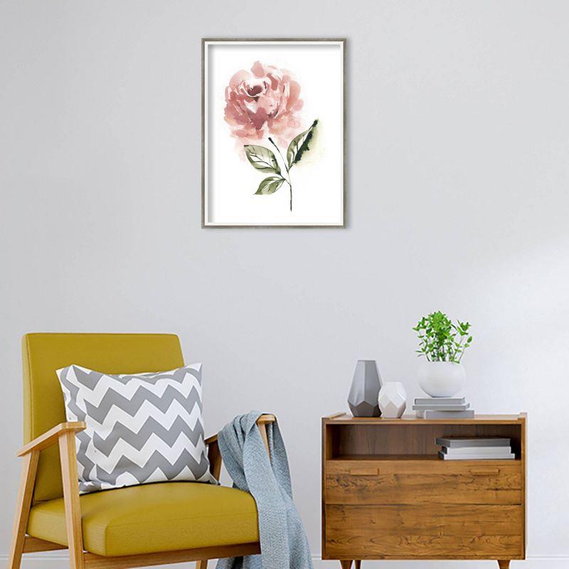 Amanti Art 19" x 25" Blush Rose Muted by Sara Berrenson Wood Framed Wall Art Print: Modern Style, Acrylic Lithograph, Hardwood Frame