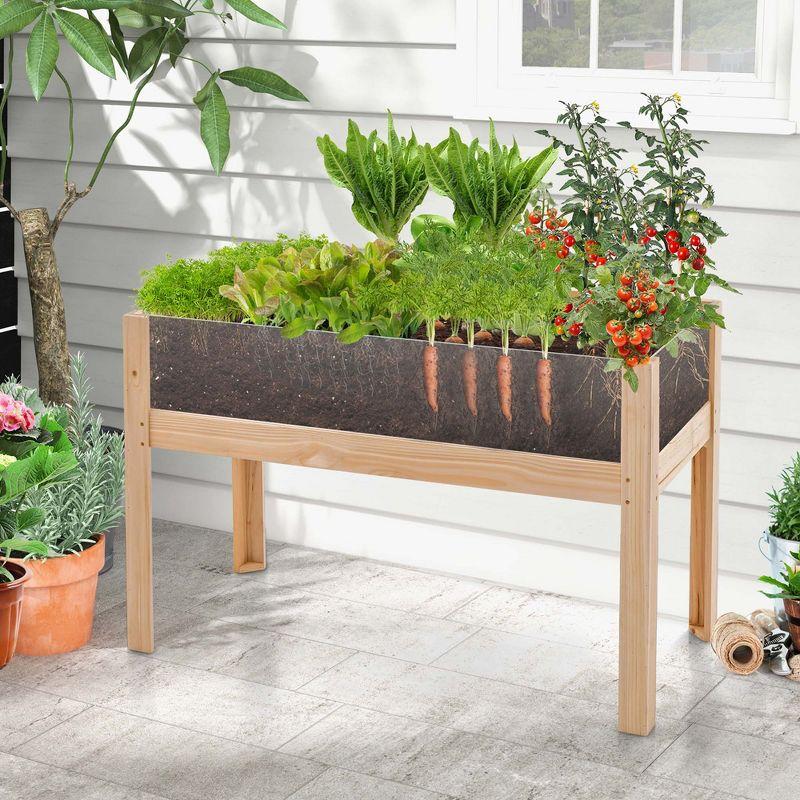 31" Natural Fir Wood Raised Garden Bed with Acrylic Panels