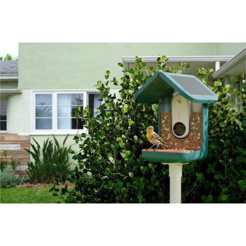 Bird Buddy Smart Bird Feeder with Camera and Solar Roof: Weather-Resistant, Hanging or Pole Mount