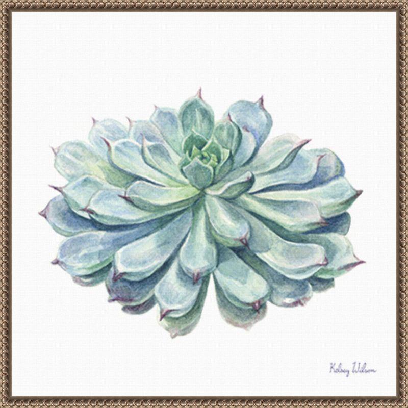 Amanti Art Single Succulents I by Kelsey Wilson Framed Wall Art Print