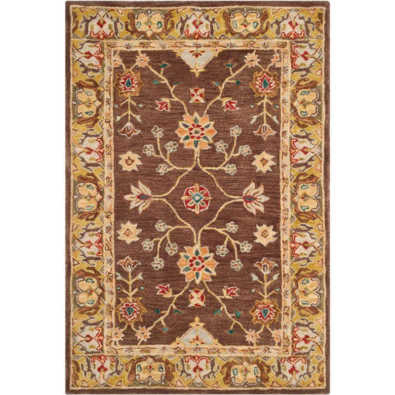 Anatolia AN562 Hand Tufted Indoor Area Rug - Brown/Gold - 4'x6' - Safavieh