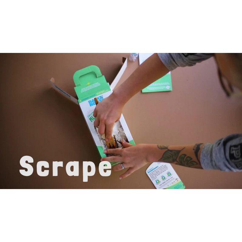 Back to the Roots  Organic Mushroom Grow Kit