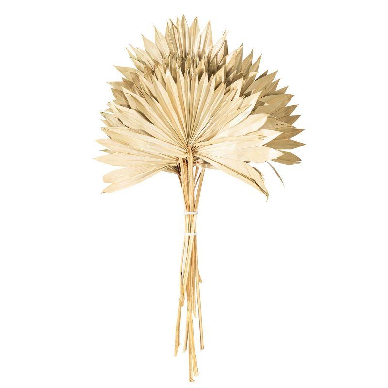 Vickerman Natural Botanicals 20" Natural Palm Sun Stem. Includes 12 Pieces per Bunch.