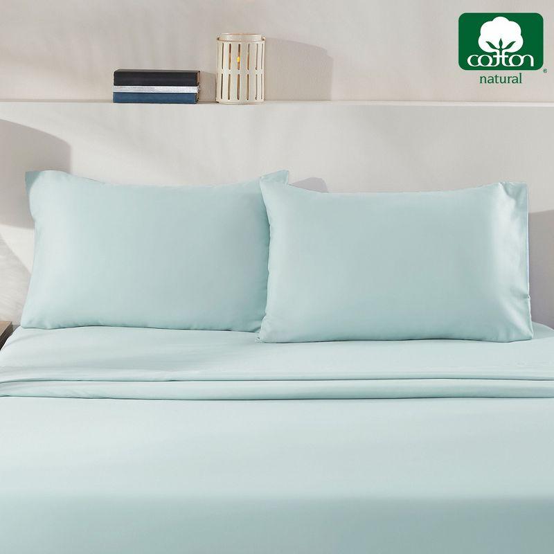 100% Cotton Seafoam Pillow Cases Standard Size / Queen Size Set of 2 Soft & Cooling Sateen Weave by California Design Den