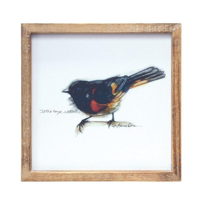 Melrose Wood Framed Bird Art Print (Set of 4)