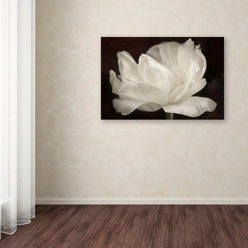 Trademark Fine Art -Cora Niele 'White Tulip III' Canvas Art