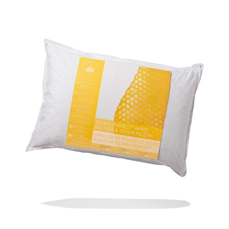 Canadian Down & Feather Company White Feather & Down Pillow - 2 Pack (Set of 2)