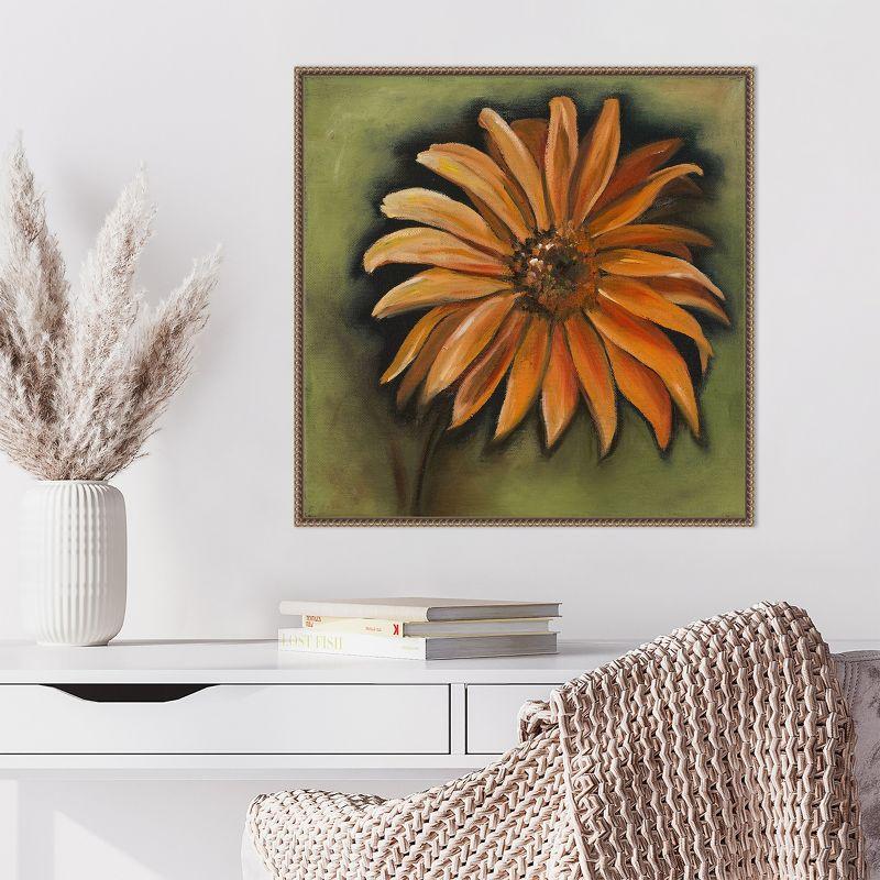 Amanti Art Daisy Collections III by Nelly Arenas Canvas Wall Art Print Framed 22 x 22-in.