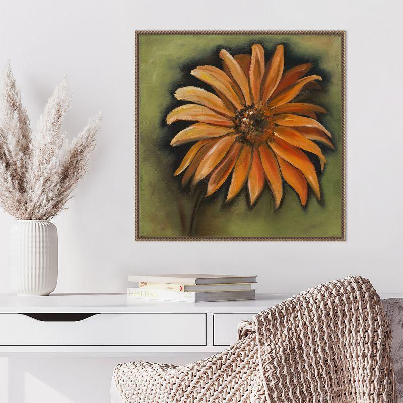 Amanti Art Daisy Collections III by Nelly Arenas Framed Canvas Wall Art