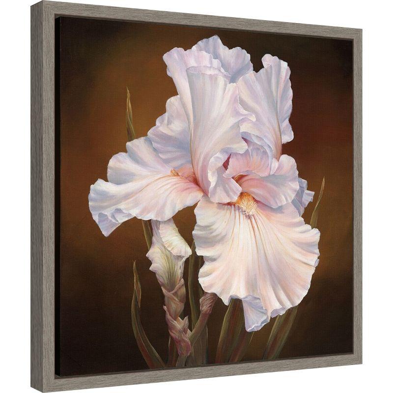 Amanti Art White Iris II by Marianne Broome Canvas Wall Art Print Framed 16 x 16-in.