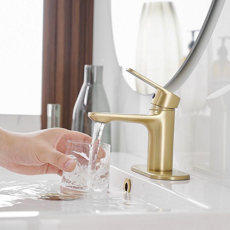 Single-Hole Single-handle Bathroom Faucet with Drain Assembly