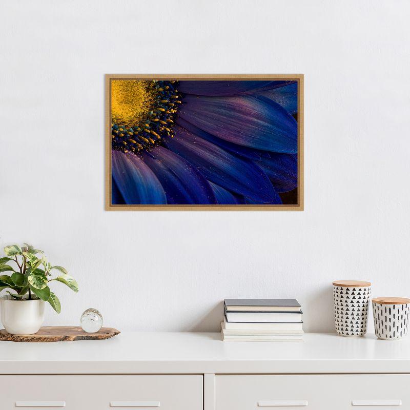 Amanti Art Blue Rays by Porsteinn Ingibergsson Canvas Wall Art Print Framed 23-in. x 16-in.