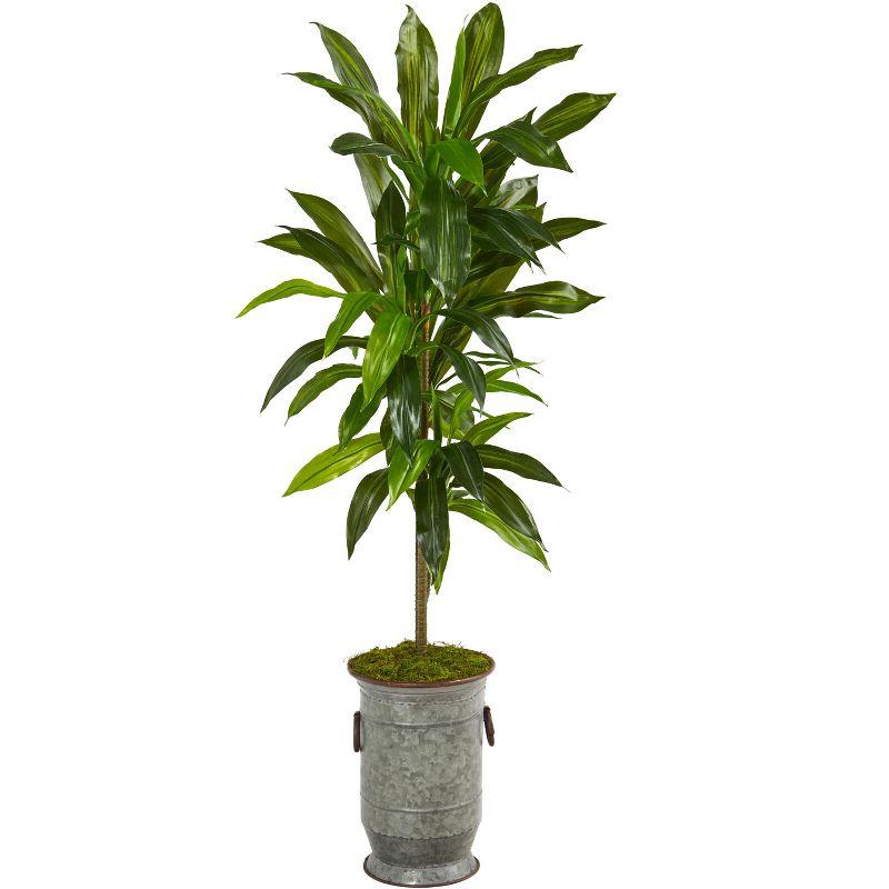 Nearly Natural 4-ft Dracaena Artificial Plant in Vintage Metal Planter (Real Touch)