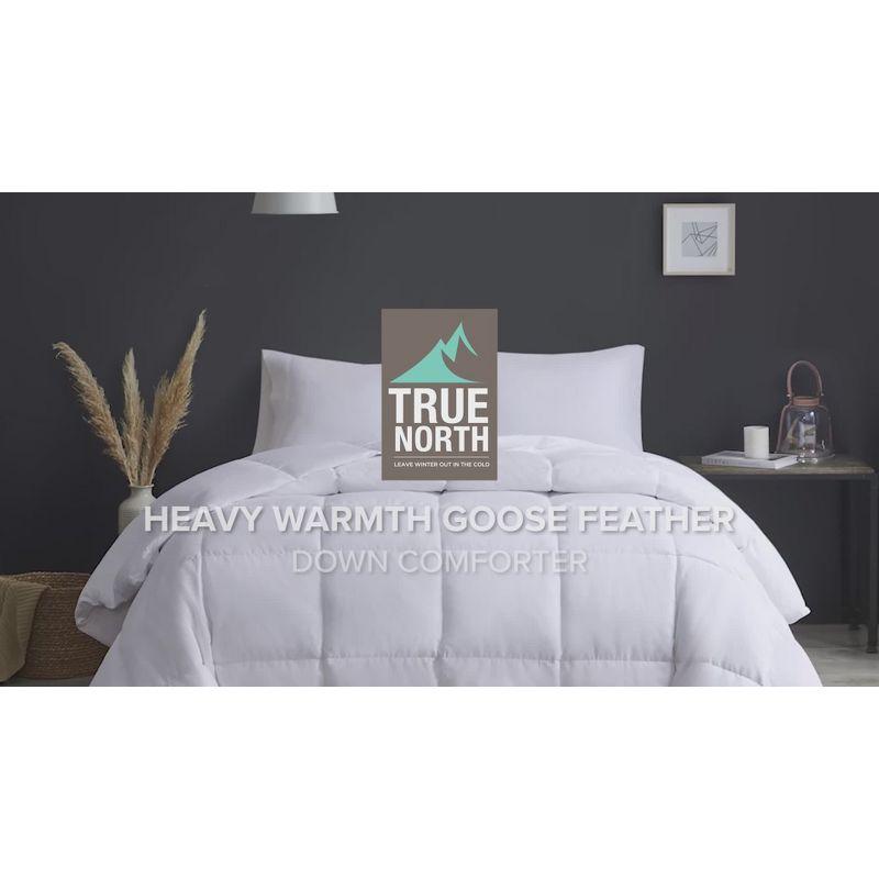 Heavy Warmth Goose Feather and Down Oversize Duvet Comforter Insert