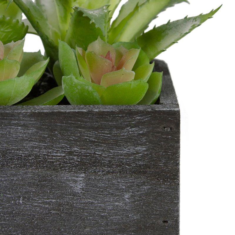 Northlight 10" Artificial Mixed Succulent Plants in a Rectangular Planter