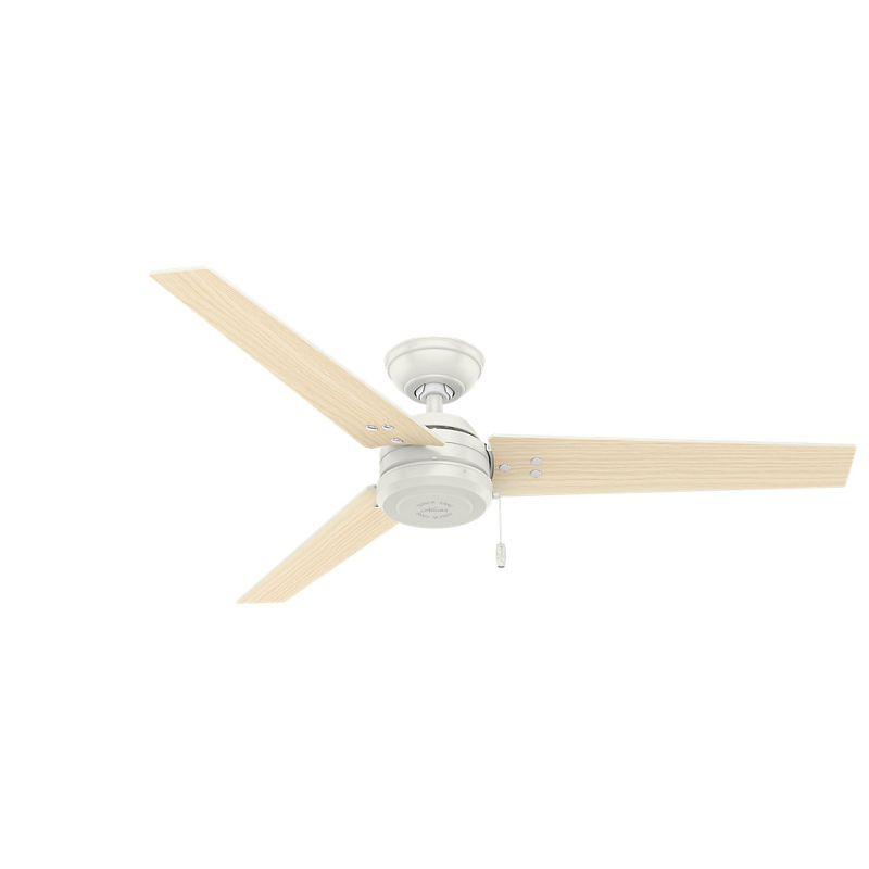 52" Cassius 3 - Blade Outdoor Standard Ceiling Fan with Pull Chain