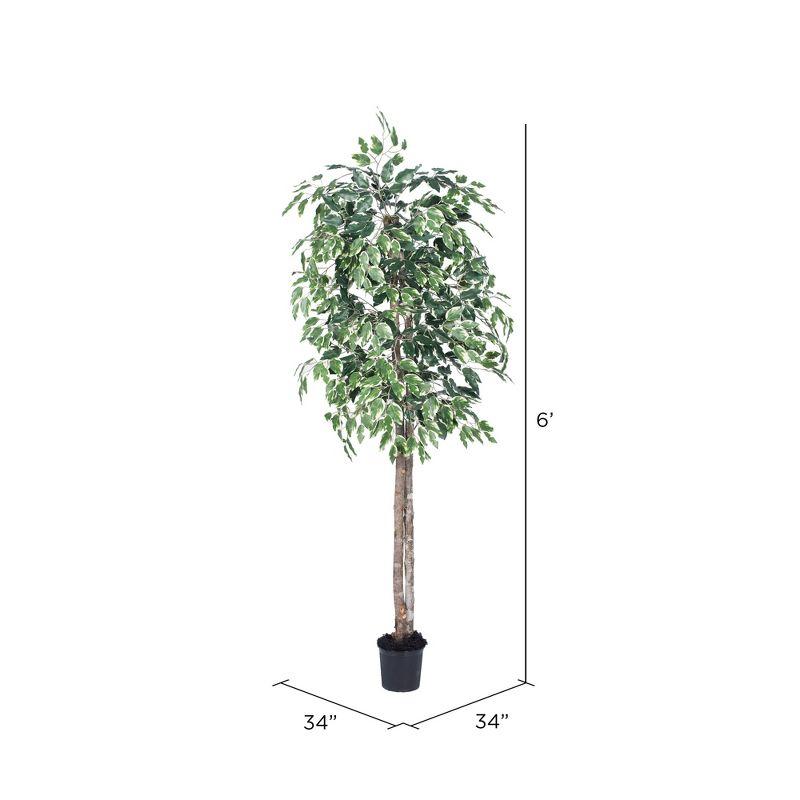Vickerman 6' Artificial Variegated Ficus, Black Plastic Pot In a 7"Lx7"Wx6"H base.