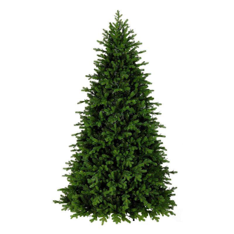 National Tree Company Pre-lit Feel Real Full Princeton Fraser Fir Artificial Christmas Tree with Dual Color LED Lights