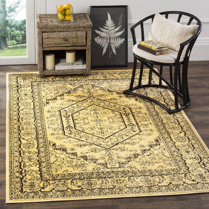 Adirondack ADR108 Area Rug  - Safavieh