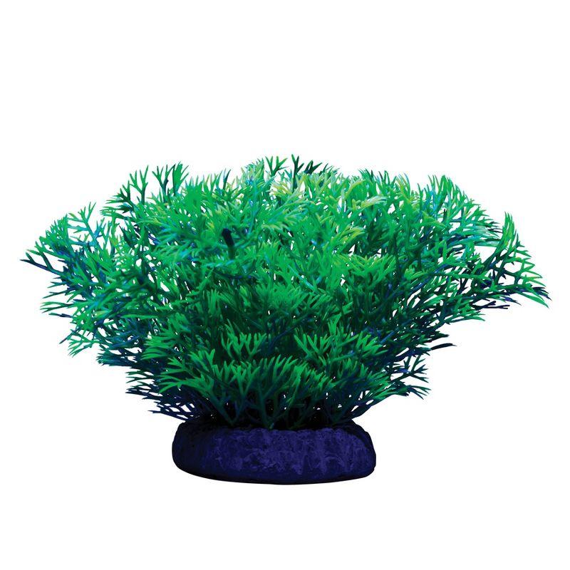 GloFish Green Medium Fluorescent Under Blue LED Light Java Moss Plant Aquarium Decor