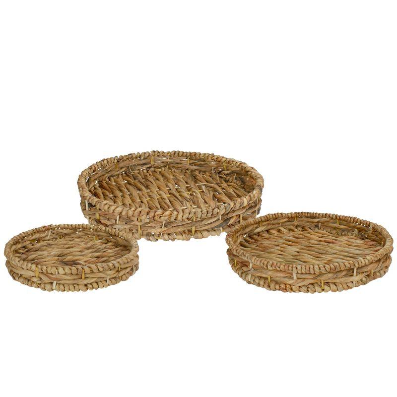 Northlight Seasonal Wicker Tray - Set of 3