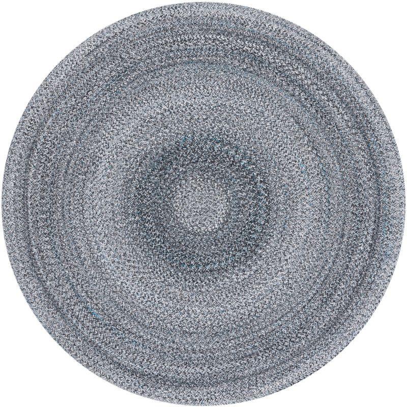 Braided BRD804 Hand Woven Area Rug  - Safavieh