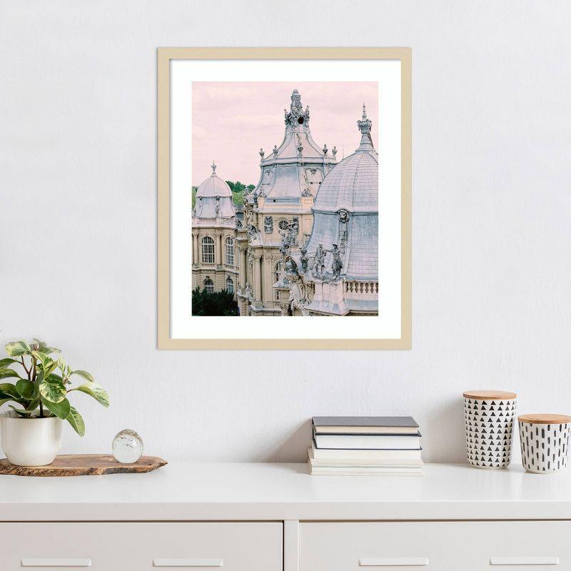 Paris Rooftops II Svelte Natural Framed Photography Print