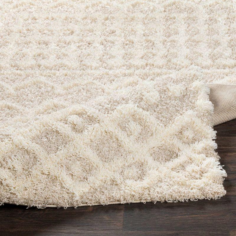 Livabliss 2'7"x5' Pinnacle Shag Global Rug Cream: High Pile, Stain & Fade-Resistant, Traditional Style
