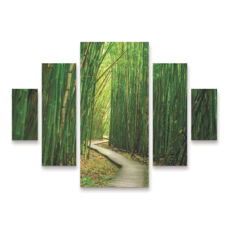 Trademark Fine Art Dennis Frates Bamboo Path 5 Piece Panel Set Art - 34''x44''