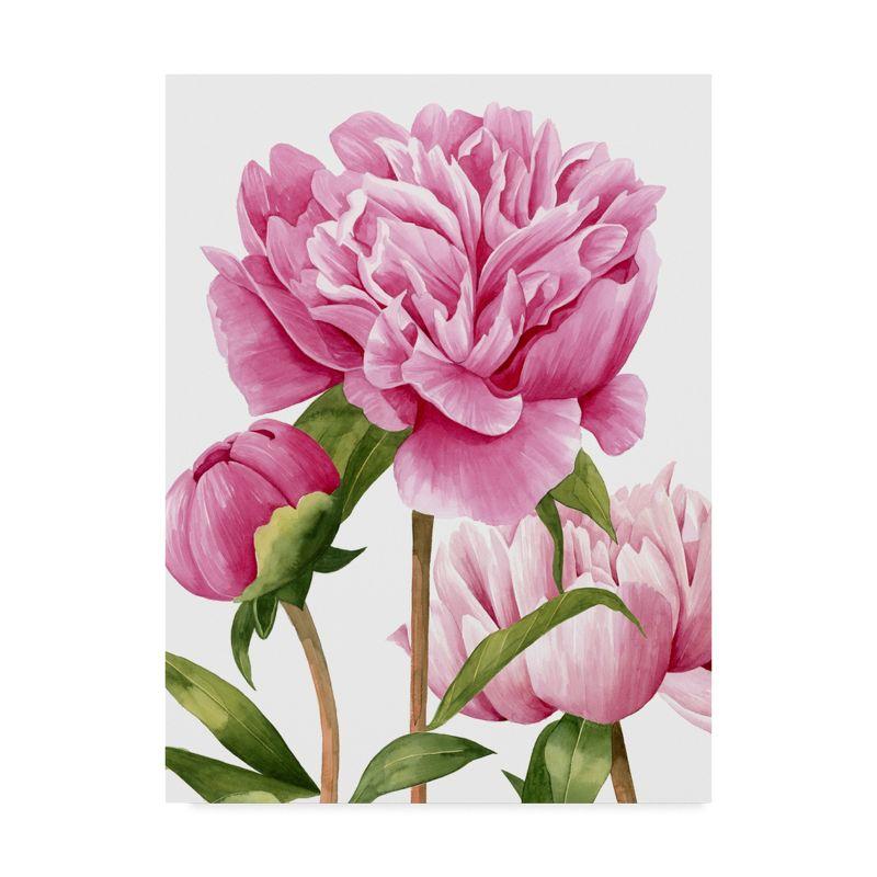 Trademark Fine Art -Grace Popp 'Winsome Peonies Ii' Canvas Art