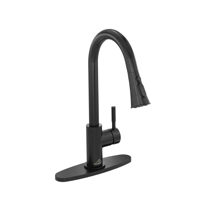 Pull Down Sprayer Kitchen Faucet with Dual-Function Sprayer and Deck Plate in Spot-Free